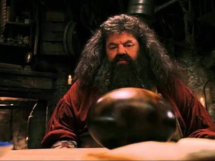 En esta imagen aparece Rubeus Hagrid